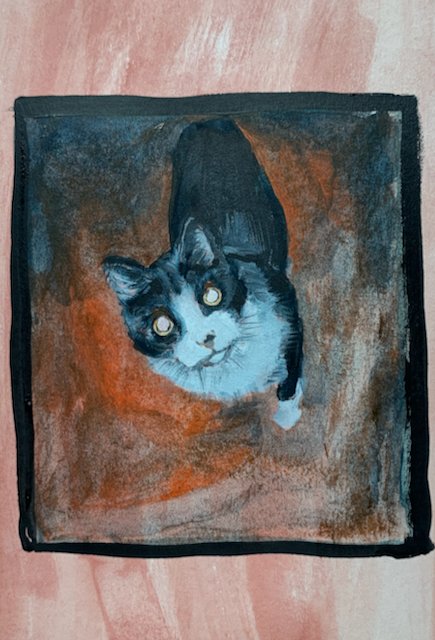 cat