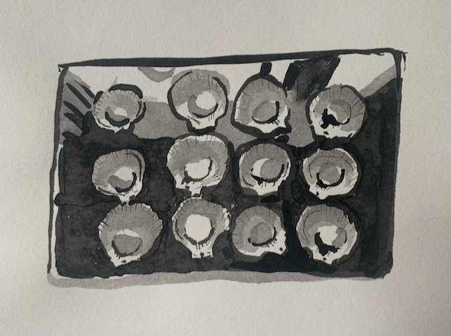 oysters