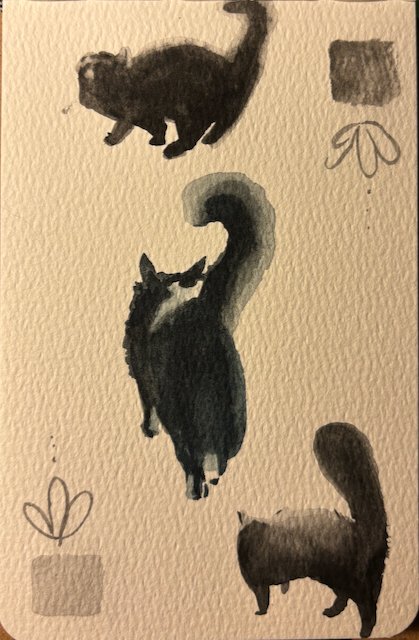 cats