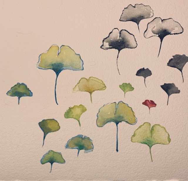 ginko