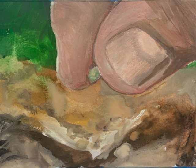 planting