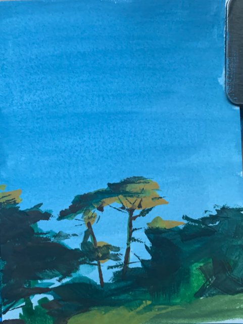 two trees