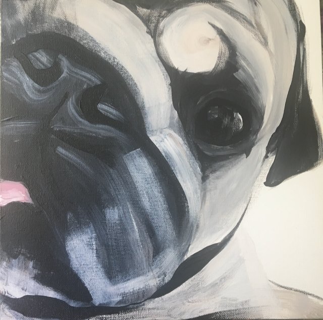 Pug