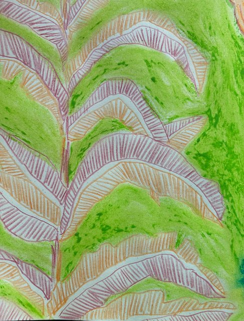 flora