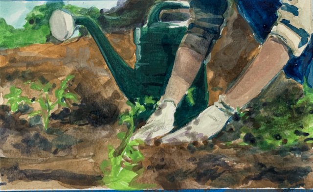 planting