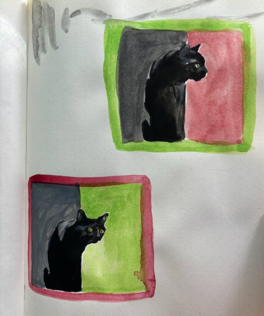 cat