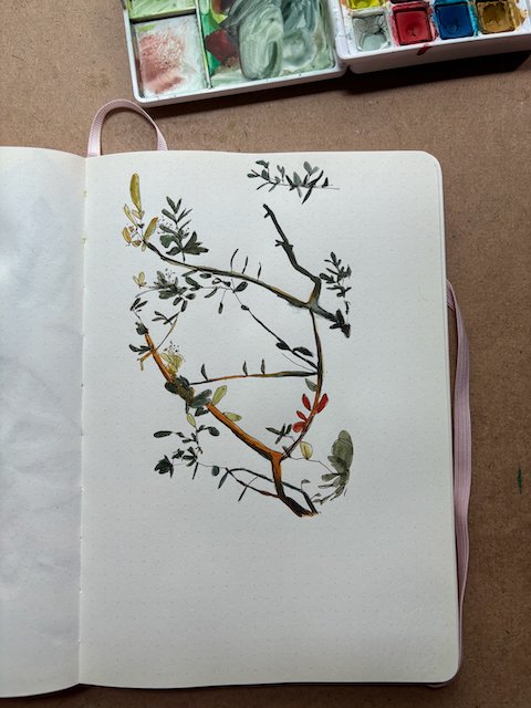 branches