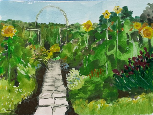sunflower garden