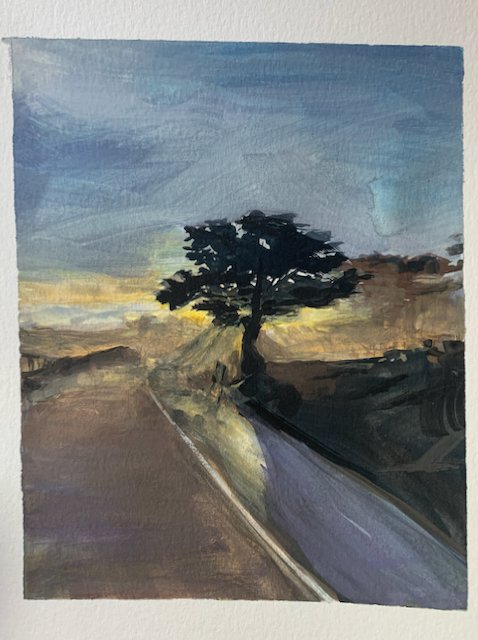 Monterey Peninsula