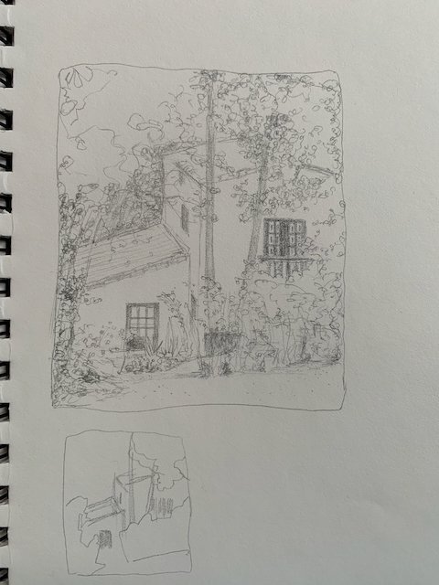neighbors