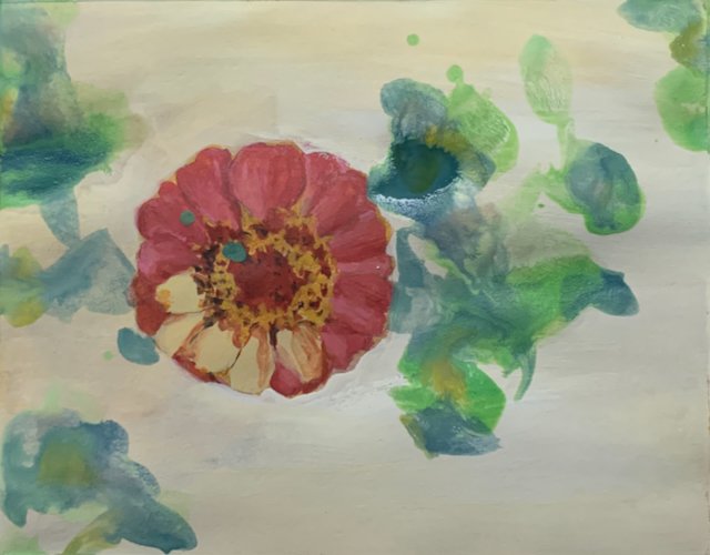 zinnia