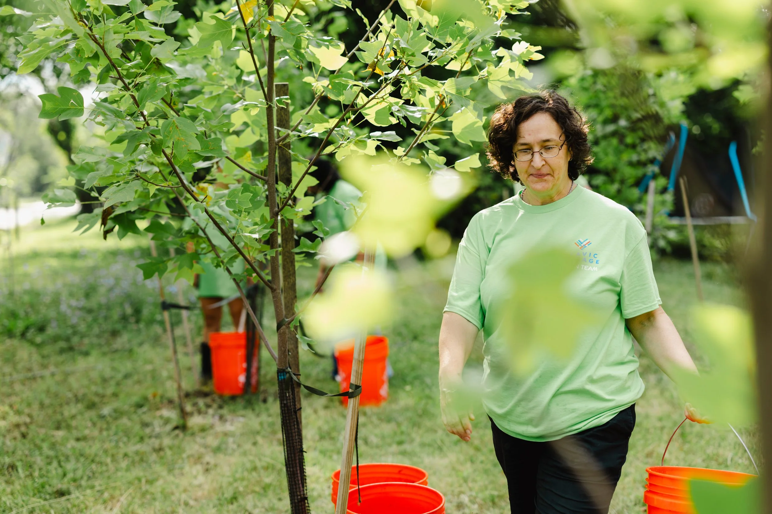 Tree Hero Preview | Kate Christian