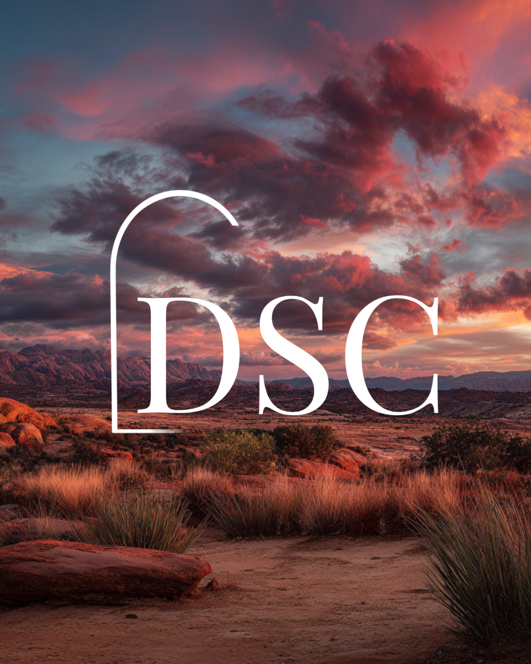Behind the Creation of Desert Skies Contemporary
