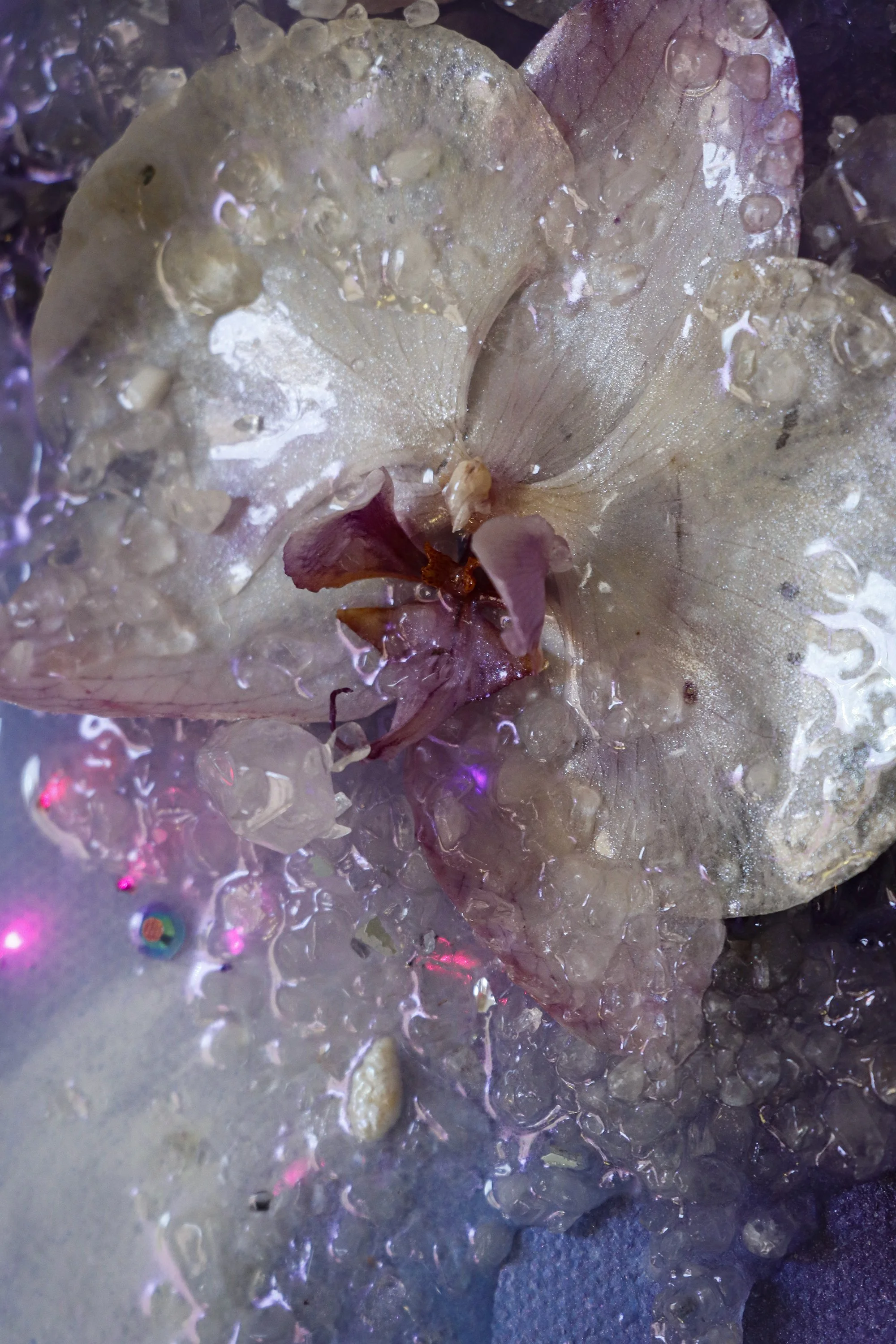  Photo of a dark purple painting with glowing fiber optic lights, orchids, quarts crystals 