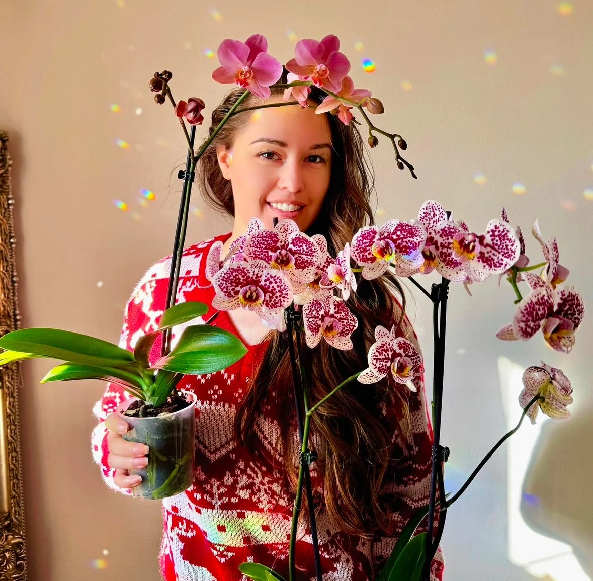 How I Grow the Flowers That Go Into My Paintings
