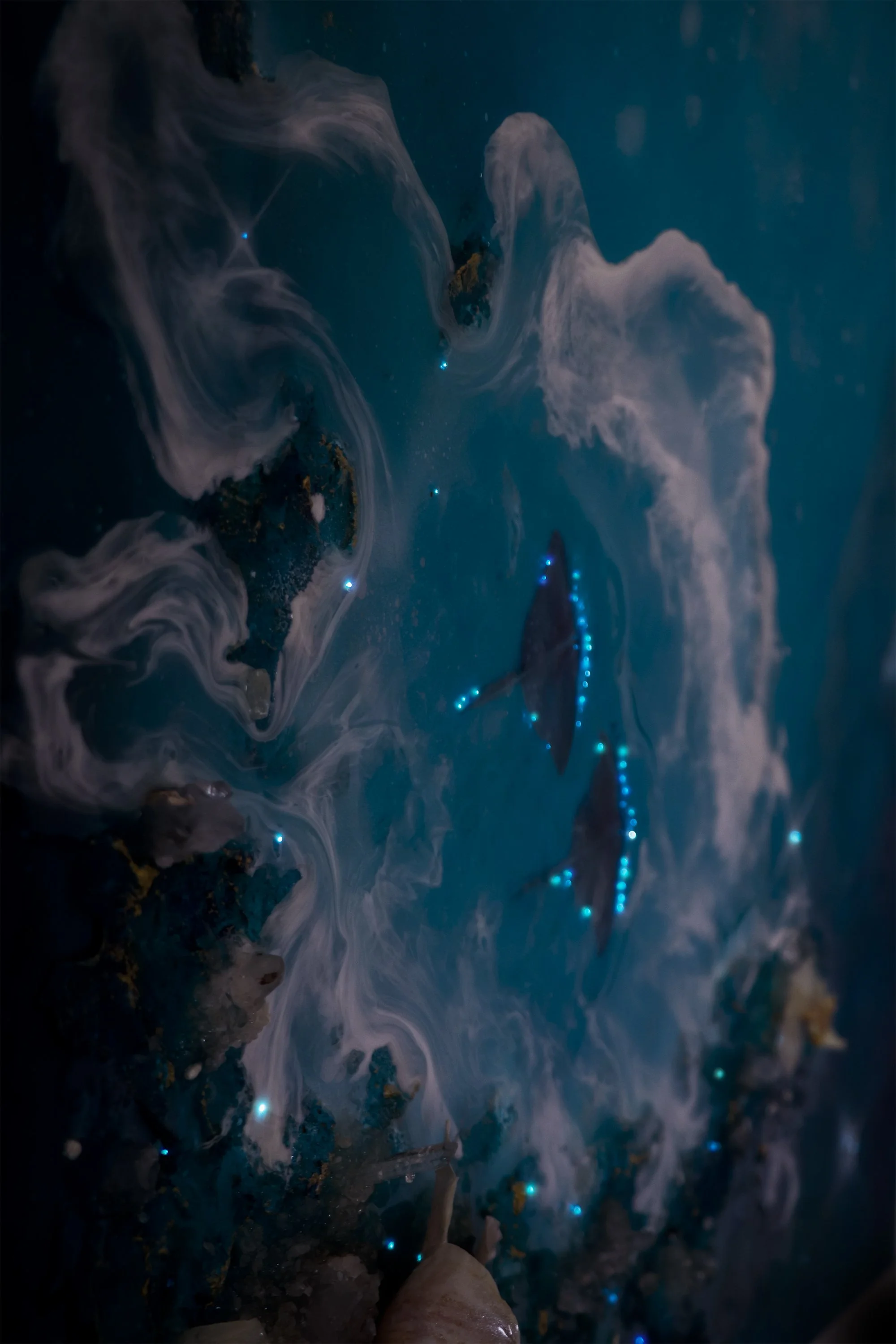 A detail photo of manta rays with fiber optic lighting as bio luminescence, with quartz crystals, on blue abstract luxury wall art