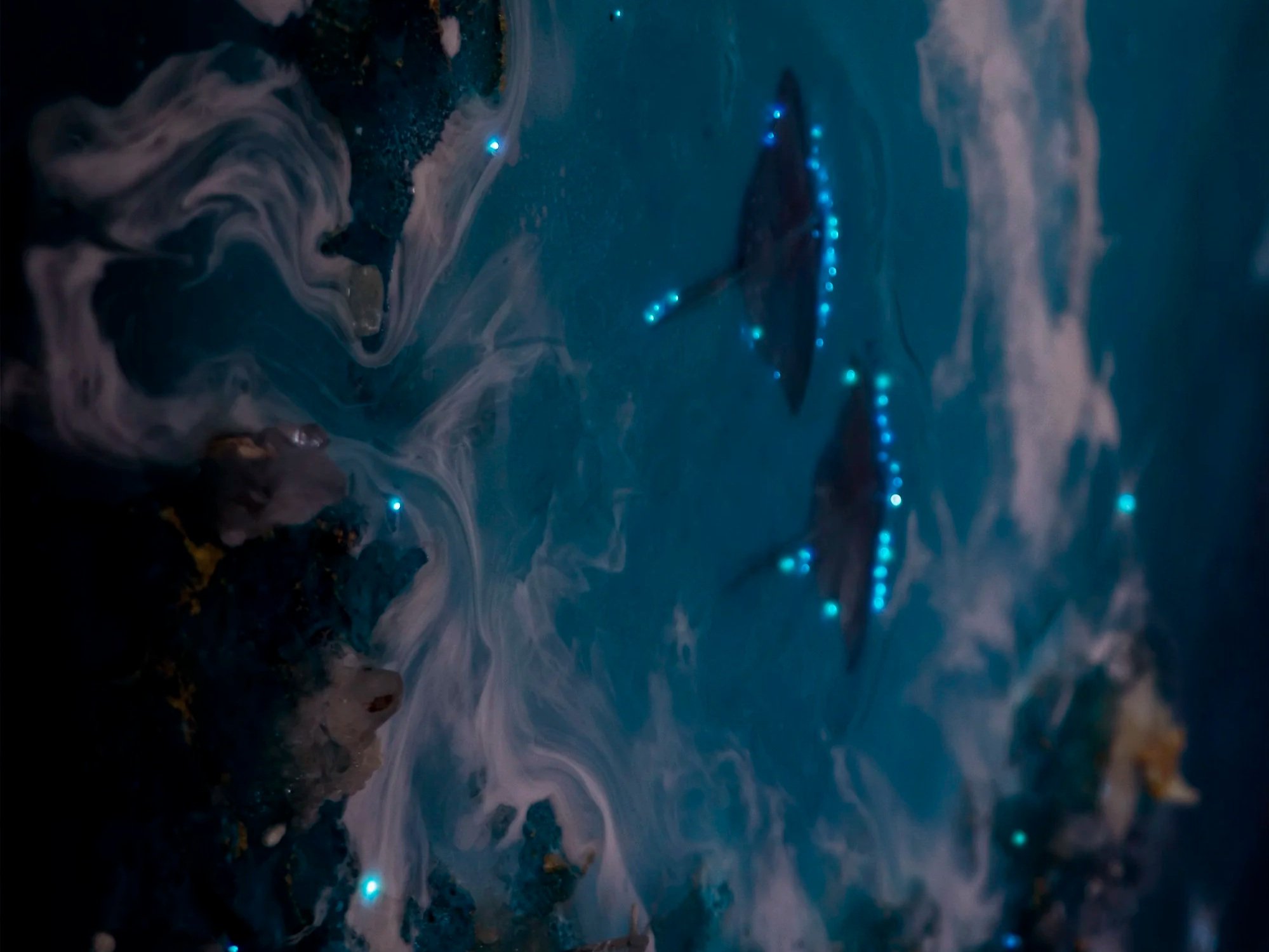 Saltwater Constellations