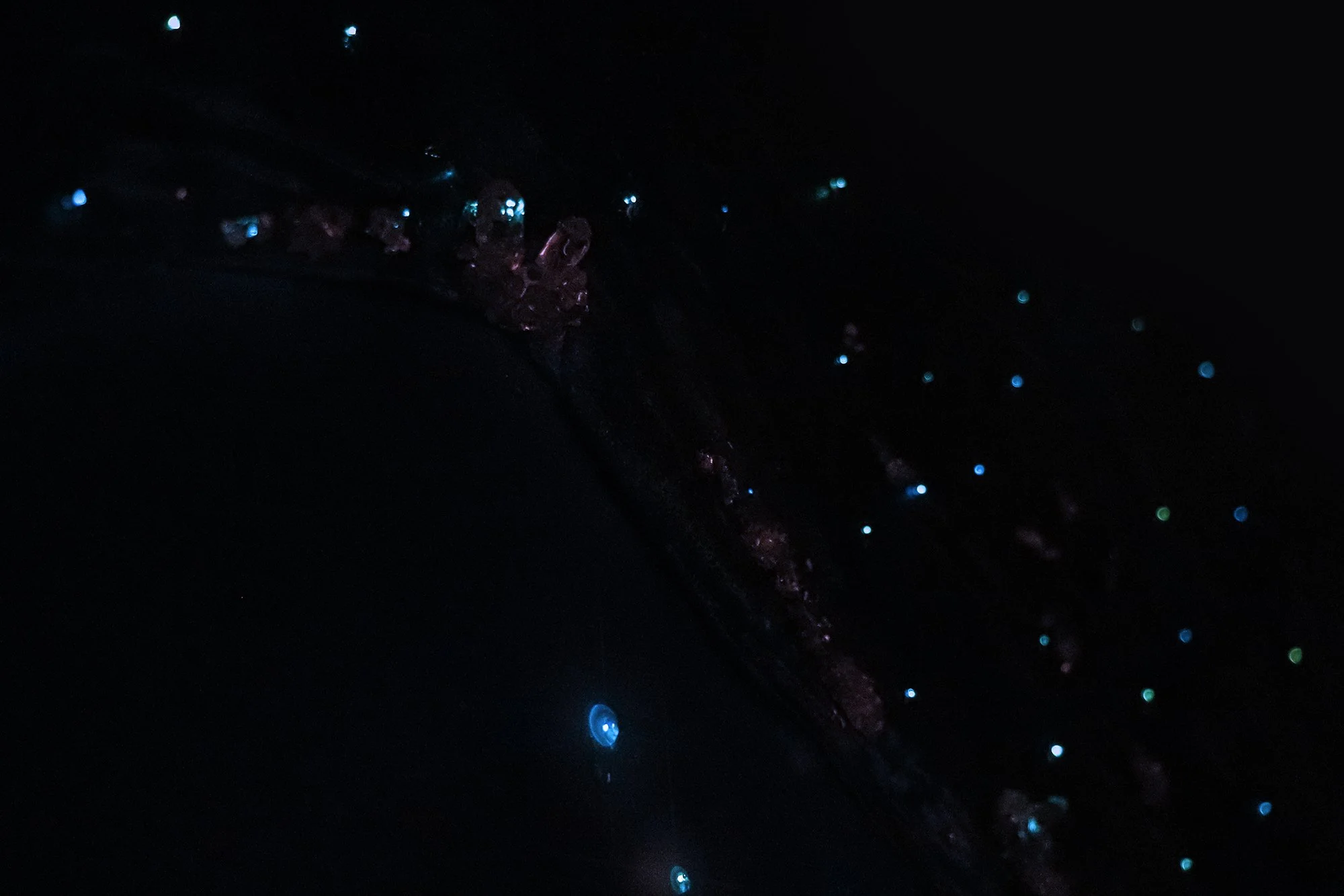 detail photo of blue glowing fiber optic light points