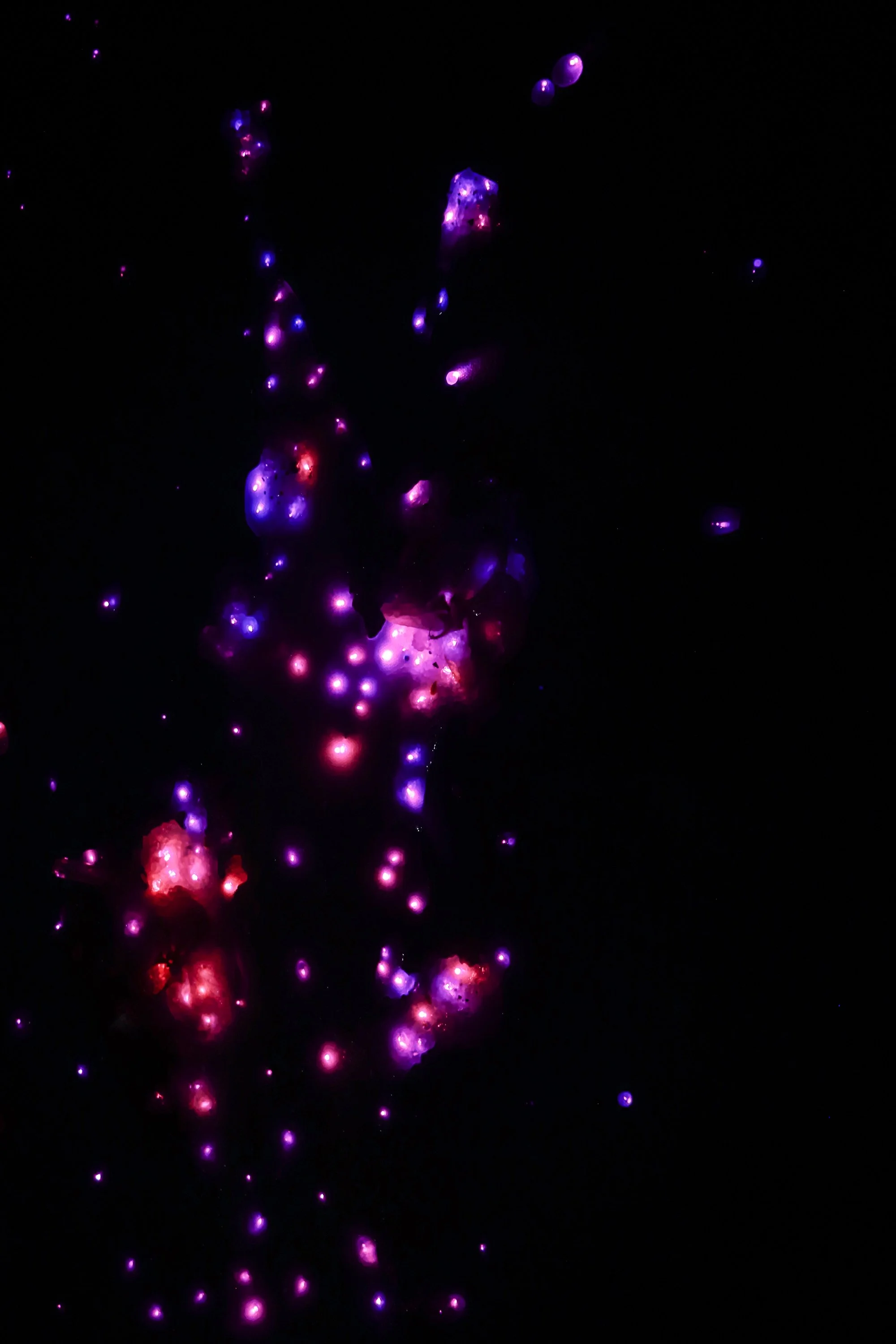 fiber optic light glow on luxury art