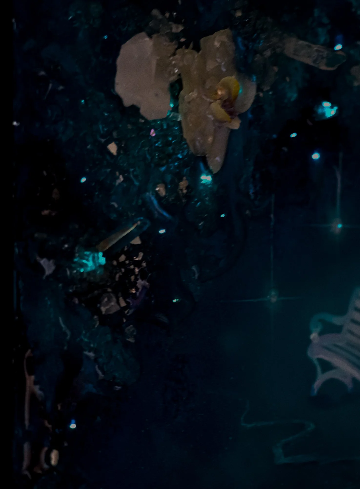 detail photo in the dark of glowing fiber optic LED blue lights with orchid and quartz crystal