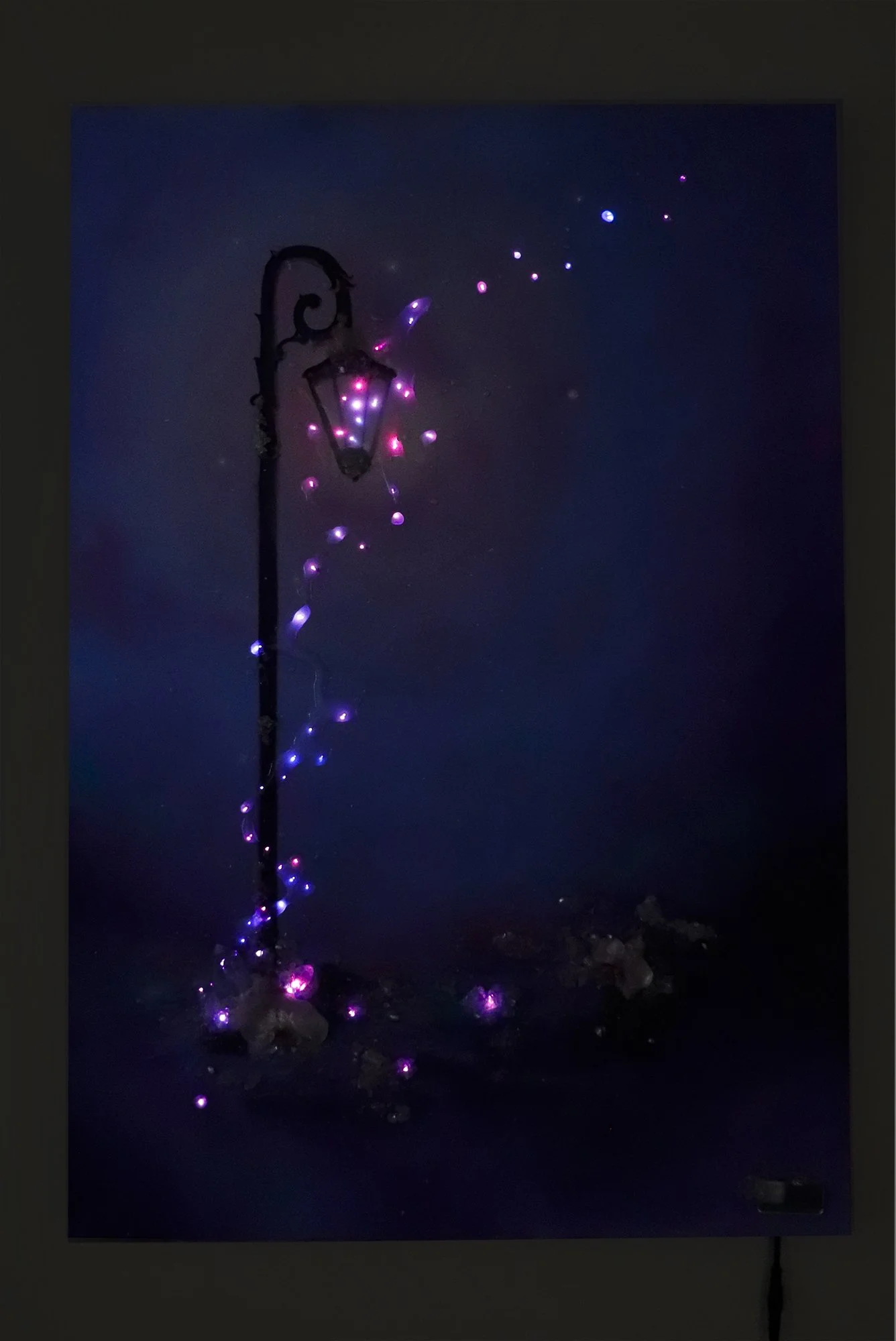 wall art botanical art, with preserved orchids and quartz crystal, glowing with pink and purple fiber optic LED lighting