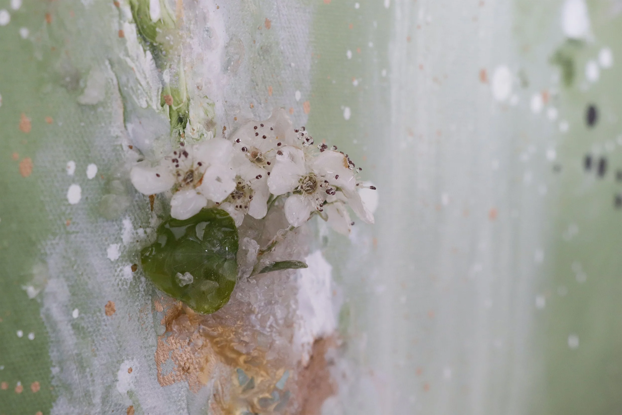 close up detail photo of white preserved pear blossom flower botanicals, picked in St George Utah, on abstract painting inspired by spring