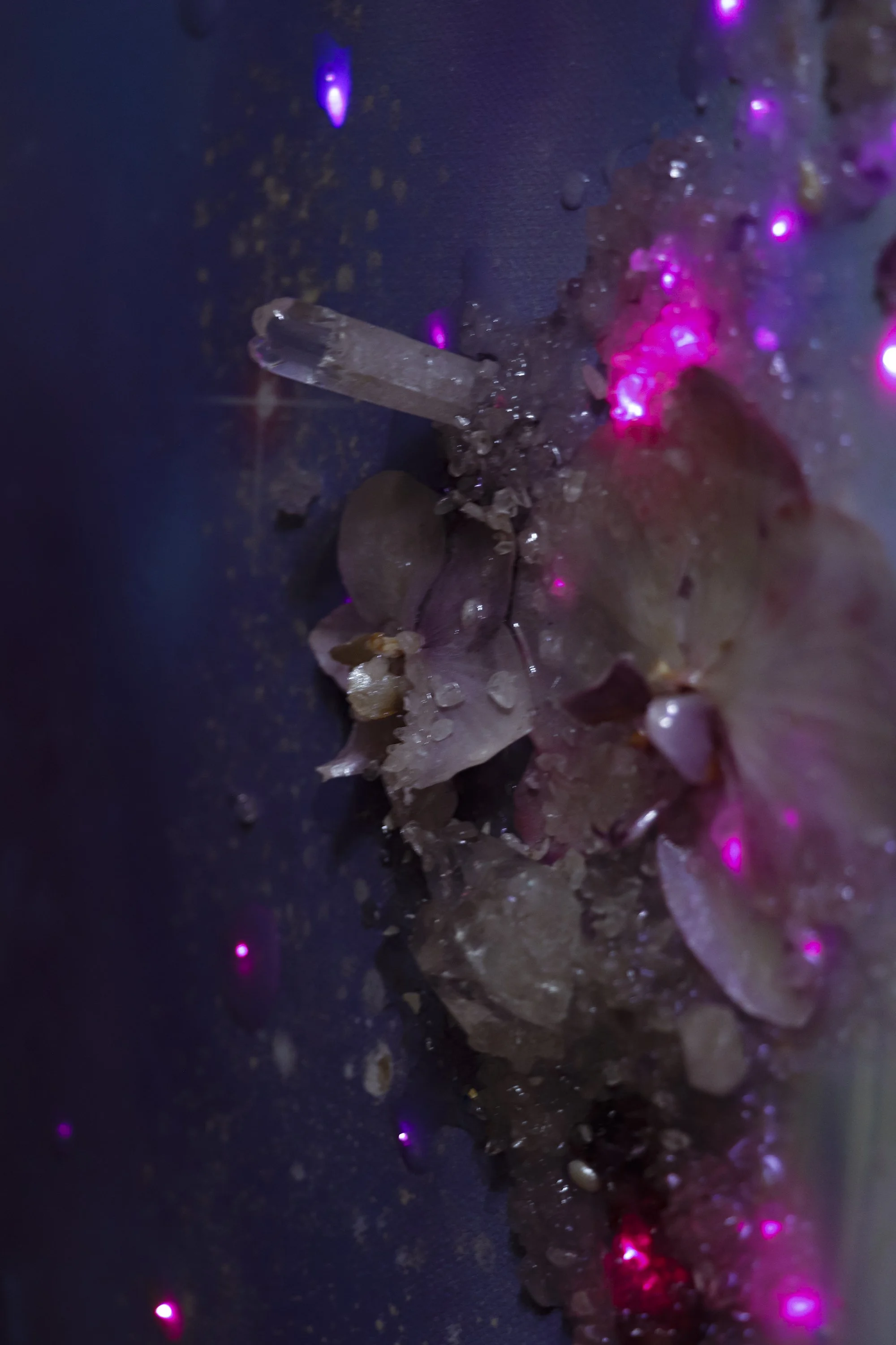 A close-up detail photo of orchids, and quartz crystals, glowing by fiber optic light, on dark purple abstract artwork.