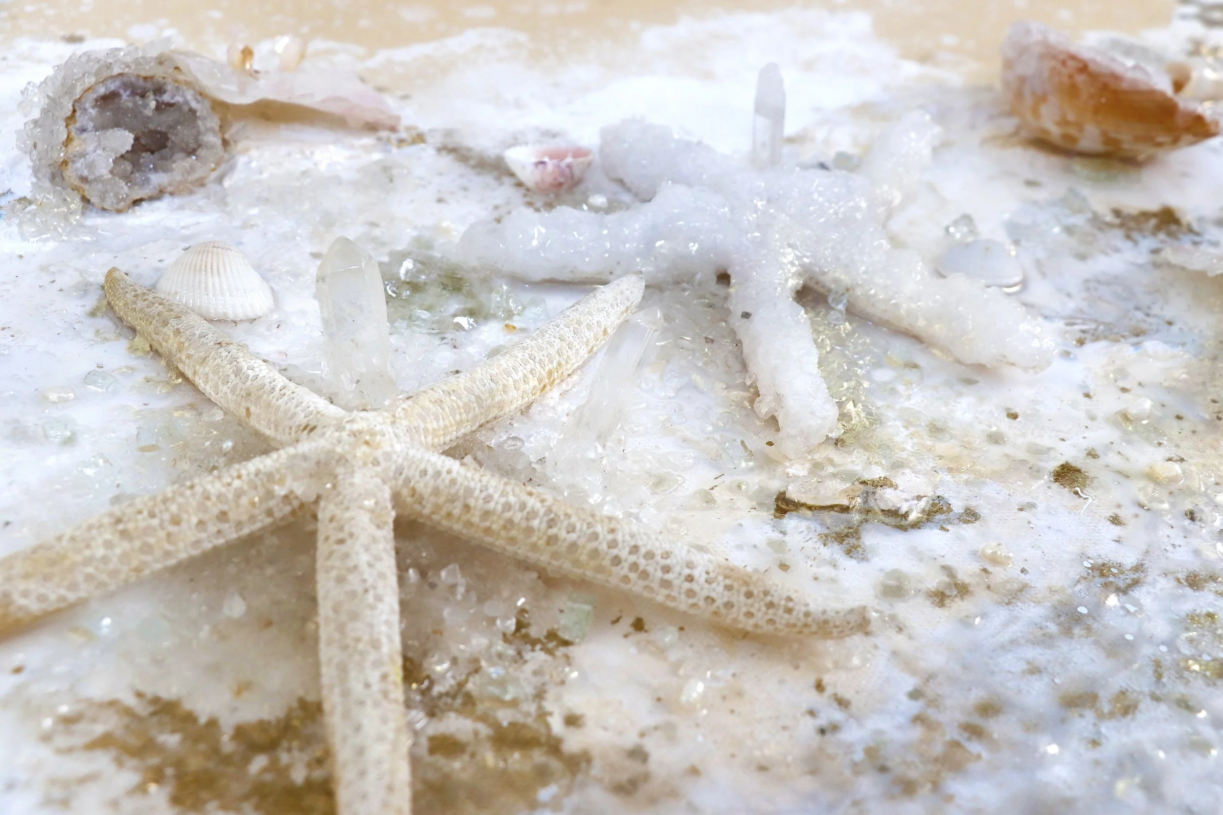 close uo detail photo of starfish on a painting, representative of beach sand