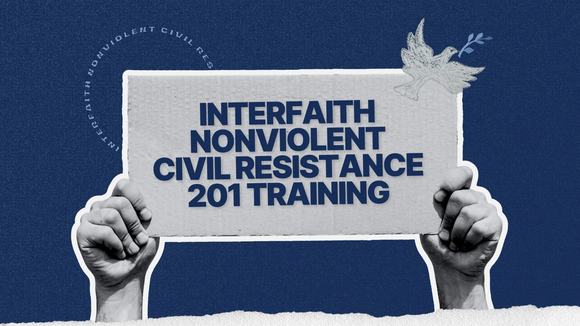 Virtual Non-Violent Resistance Training