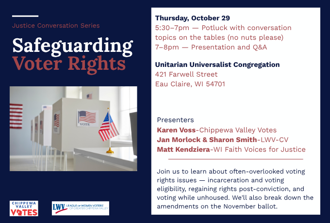 Safeguarding Voter Rights
