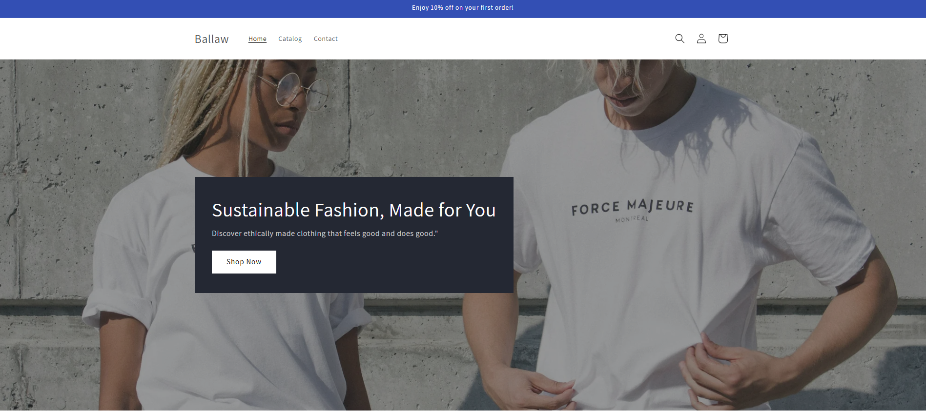 Portfolio Online Store.png