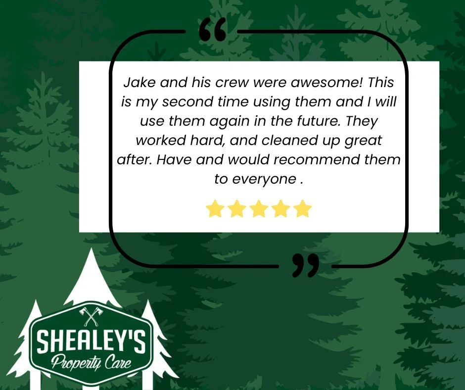 🌧️ Even with all the rain this week, our crew has been working hard to keep projects on track and deliver the same high-quality tree service our customers count on. We&rsquo;re so grateful for our customers who trust us with their property and take 