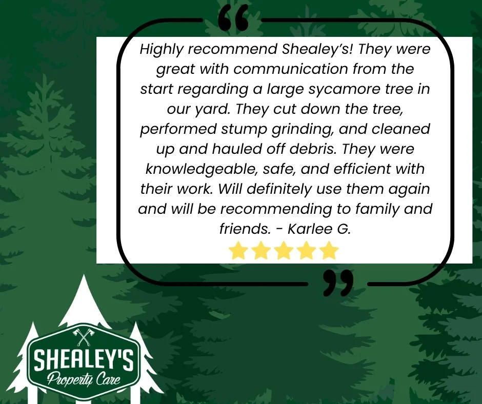 We love our customers &mdash; and they love us right back 💚
Thank you, Karlee, for the kind words and for trusting Shealey&rsquo;s Property Care with your tree work!
Ready to experience this kind of service? Call us today for your free estimate!