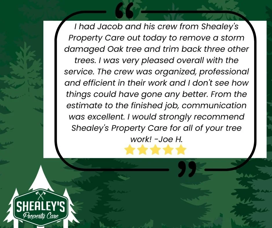 🌟 Another 5-Star Experience! 🌟

Huge thanks to Joe H. for sharing his experience with Shealey&rsquo;s Property Care: from storm-damaged tree removal to trimming, our crew delivered organized, professional, and efficient service from start to finish