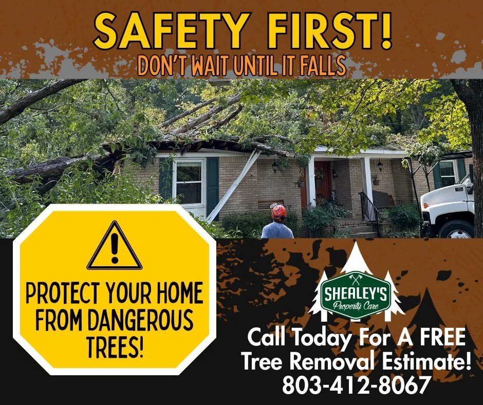 SAFETY FIRST!
⚠️ Dead, unstable, or overhanging trees and branches aren&rsquo;t just unsightly &mdash; they&rsquo;re a serious risk to your home, family, and property. One strong storm or heavy wind could bring them crashing down onto your roof, car,