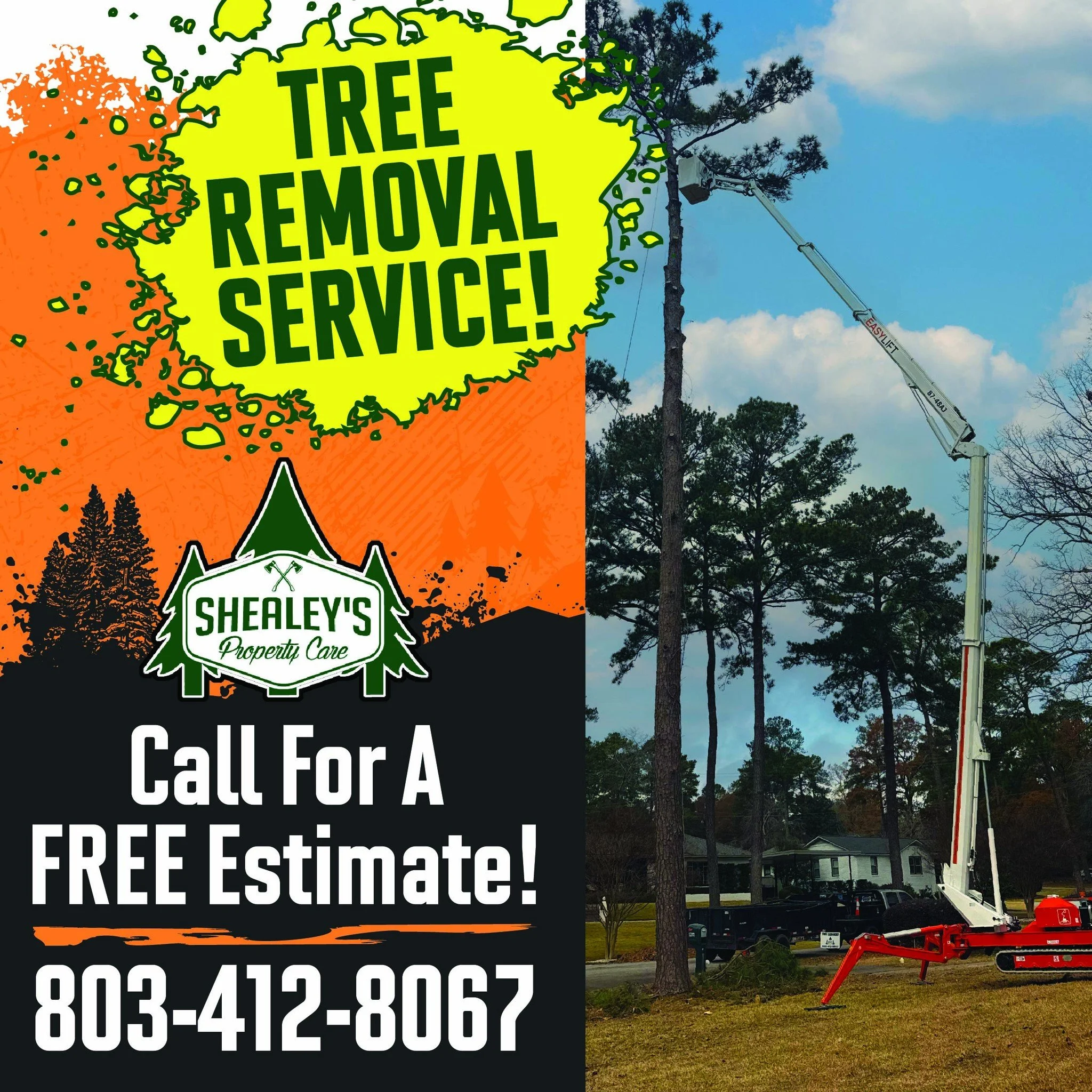 ⚡ Professional Tree Removal Services! ⚡
Dead, dangerous, or unwanted trees? Don&rsquo;t wait until the next storm&mdash;our licensed &amp; insured team at Shealey&rsquo;s Property Care will remove them safely and professionally.
✅ Free Estimates
 ✅ S