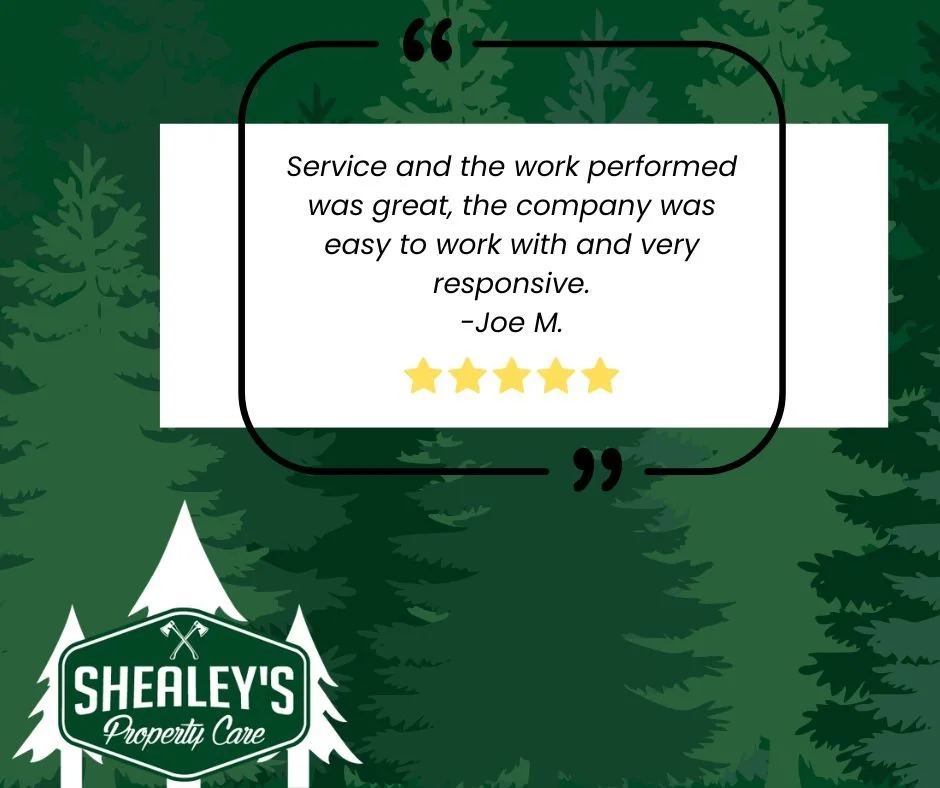 Always appreciate when customers take the time to share their experience &mdash; especially when it&rsquo;s a 10 out of 10 like this one from Joe! We take a lot of pride in showing up, getting the job done right, and keeping good communication along 