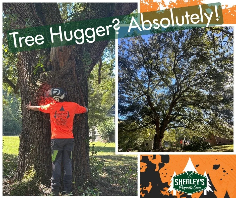 We love trees so much&hellip; we hug them! 🌳💚

Yesterday our crew trimmed a 250+ year-old Live Oak with a trunk nearly six feet wide. When you&rsquo;re standing next to something that&rsquo;s been growing for centuries, it&rsquo;s hard not to feel 