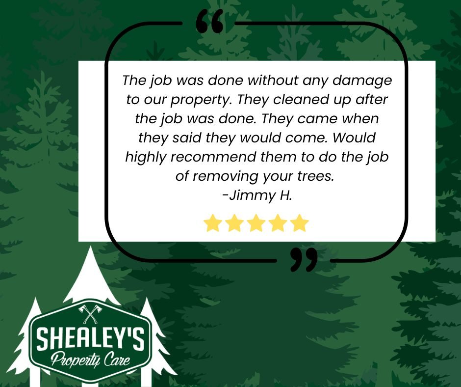 Another 10 out of 10 from one of our awesome customers! 🙌 We take pride in doing what we say we&rsquo;ll do &mdash; showing up on time, working safely, and leaving your property clean when we&rsquo;re done. Big thanks to Jimmy for the kind words and
