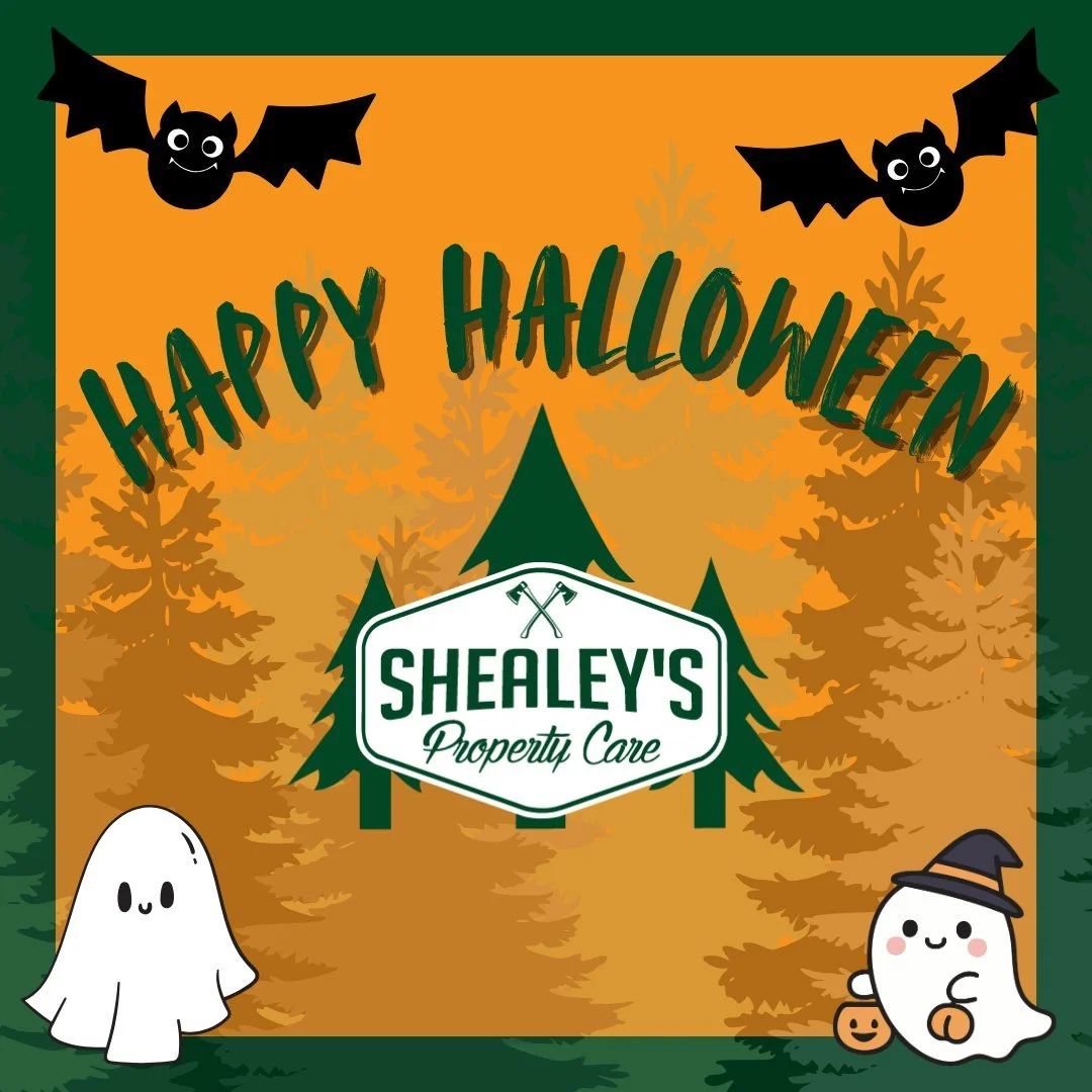 Leaves are falling, but your trees don&rsquo;t have to! 🍁
No tricks &mdash; just clean cuts and professional tree care from our crew.
Get your free quote today: 803-412-8067
#Halloween2025 #NoScaresJustCare #LexingtonSC #TreeServiceCompany