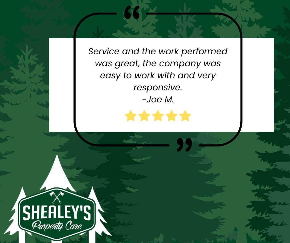 customer review Oct 2025.png