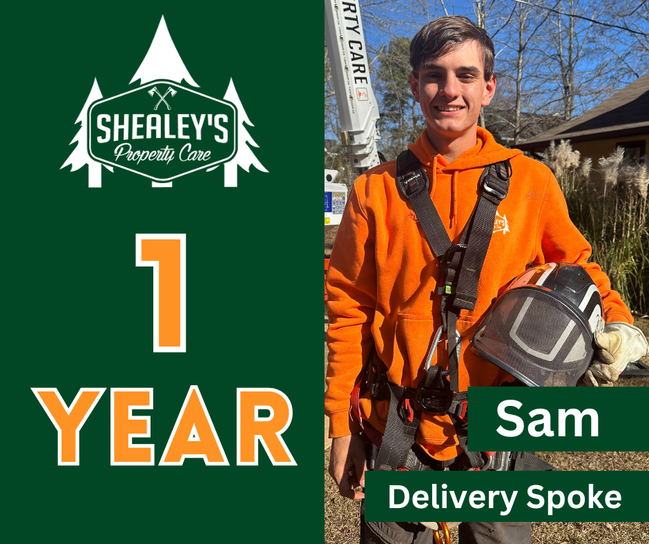 Work Anniversary Posts.png