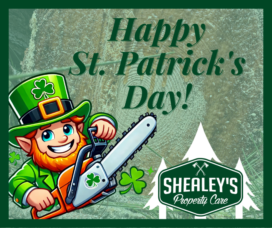 Shealeys-2025-stpats-fb post.png