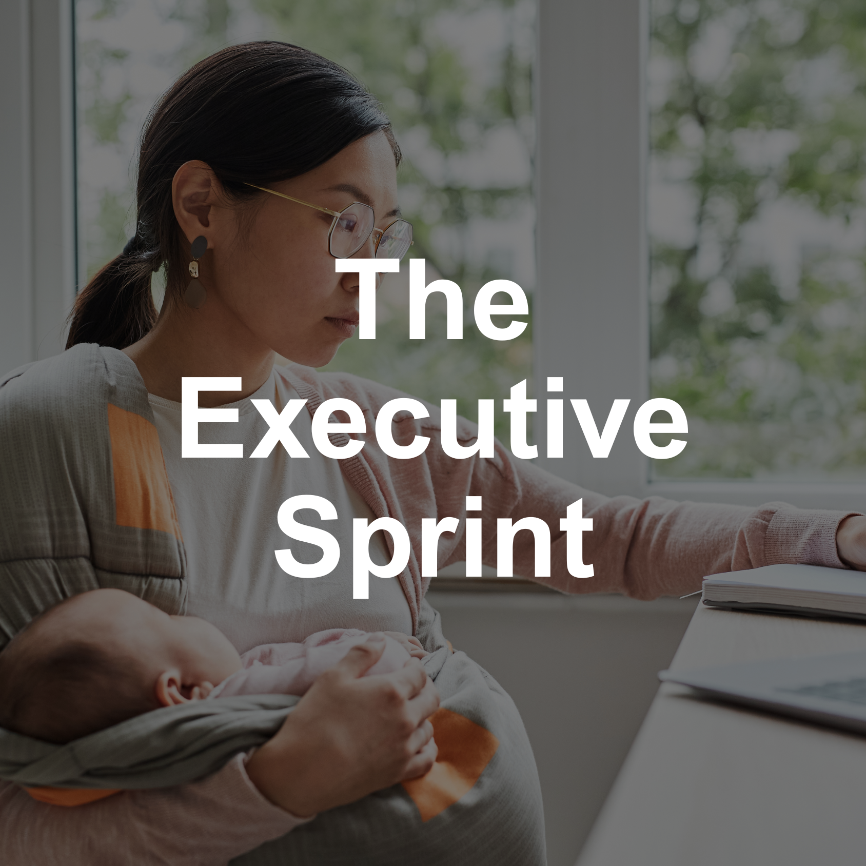 sol website images.png