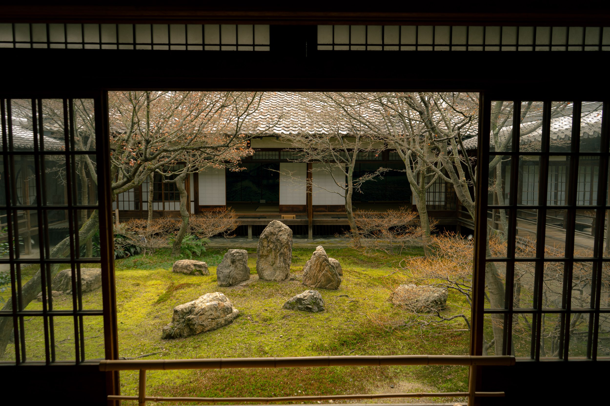 DSC00152.jpeg