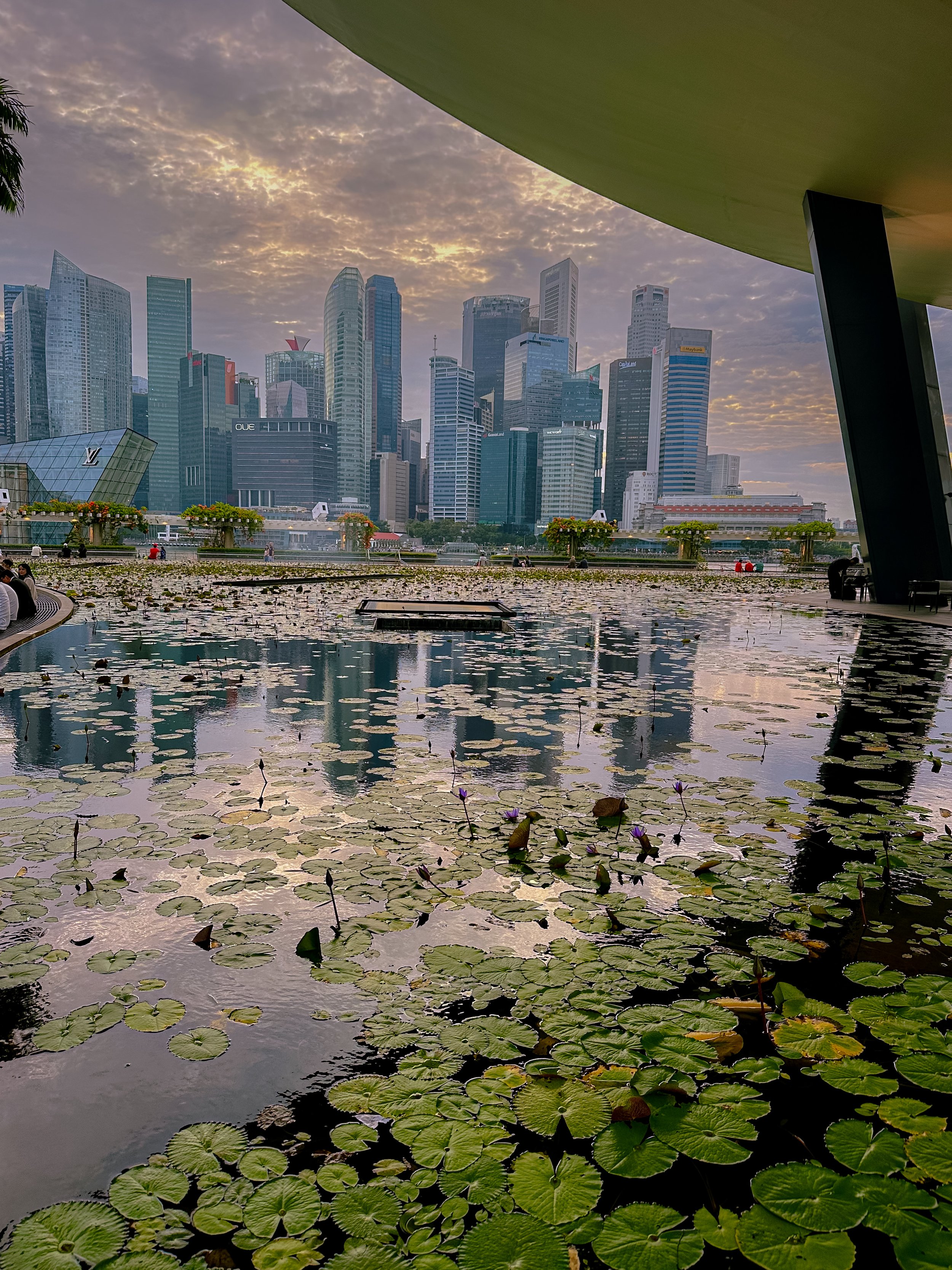 A Green Christmas in Singapore