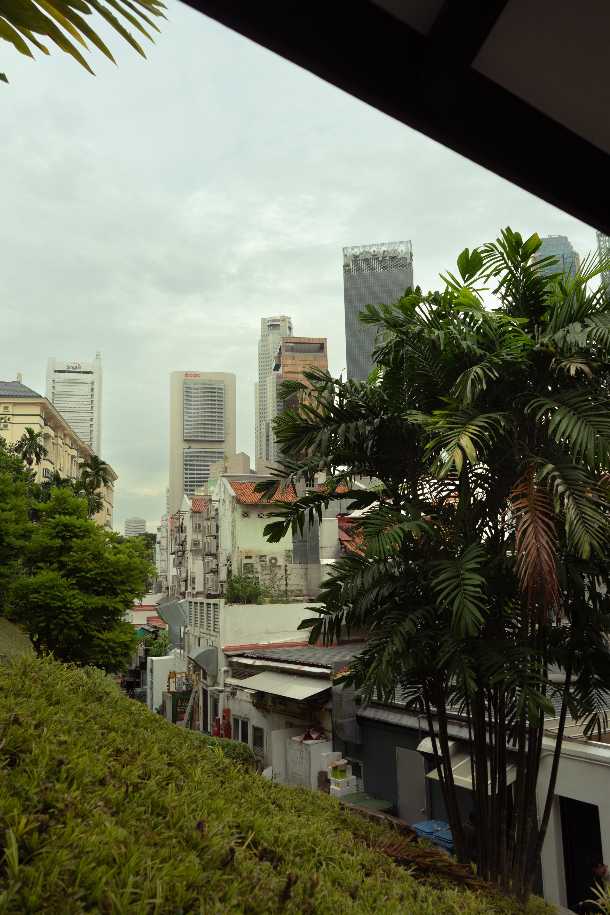 DSC08292.jpeg