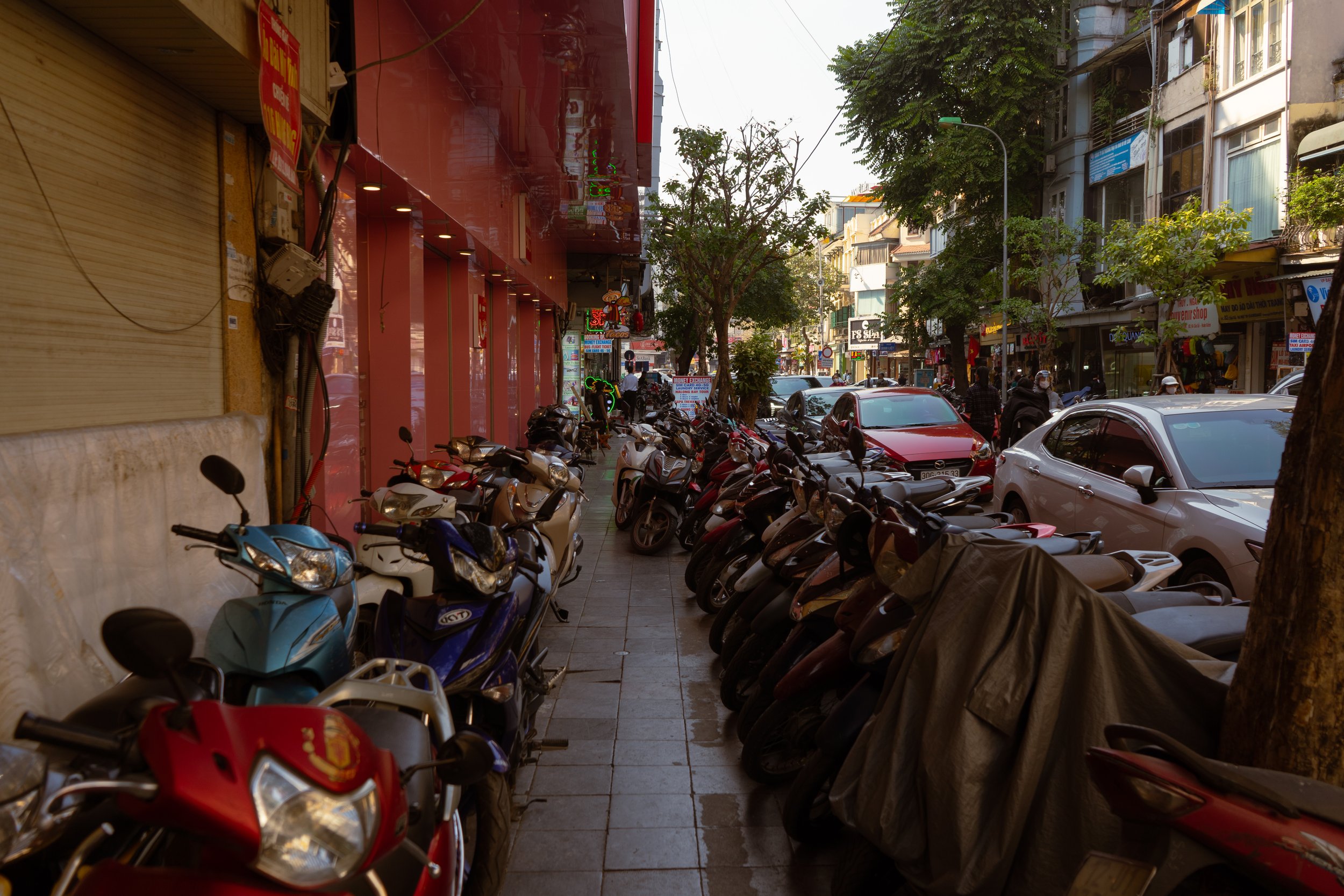 DSC09069.jpeg
