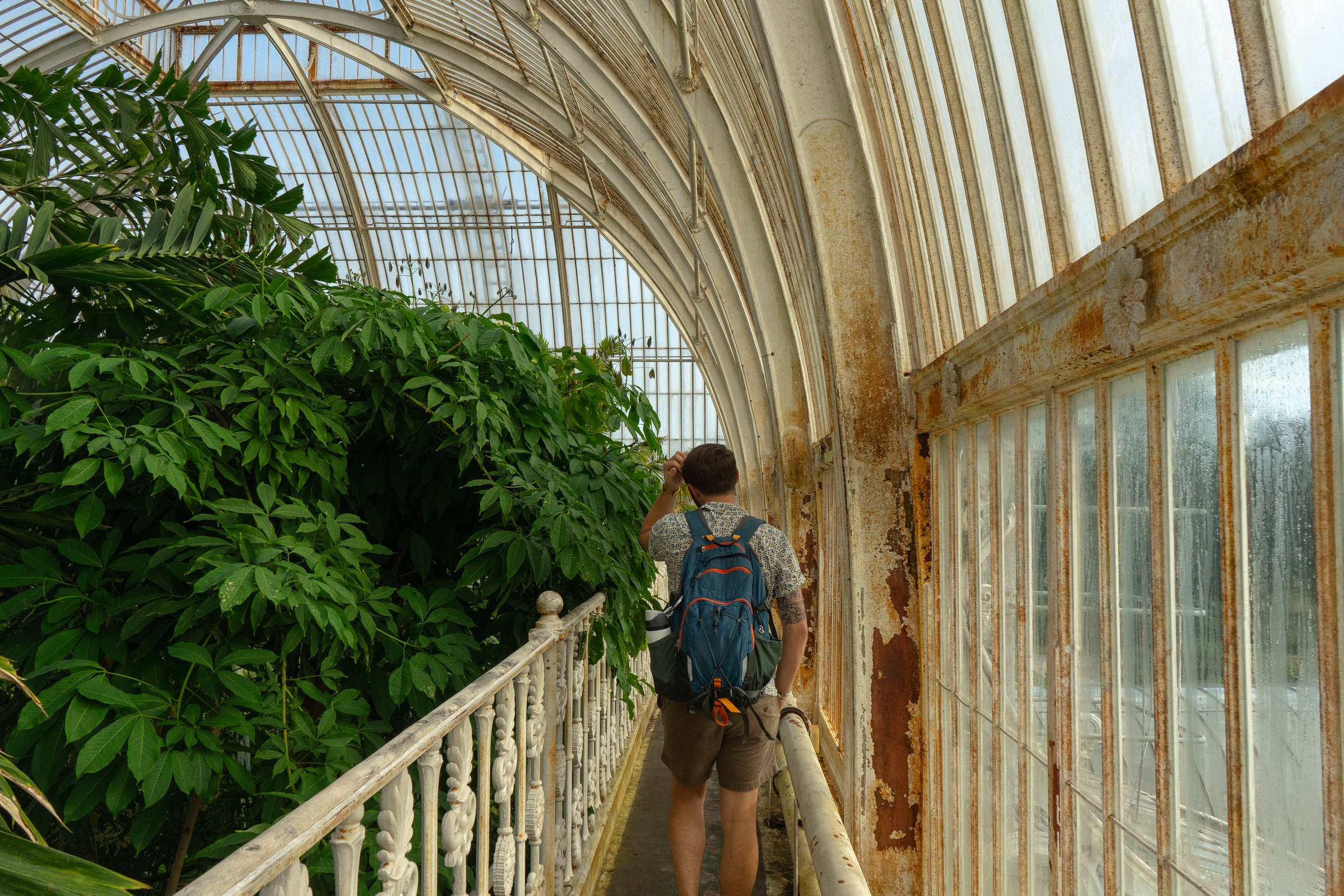 DSC02291.jpeg