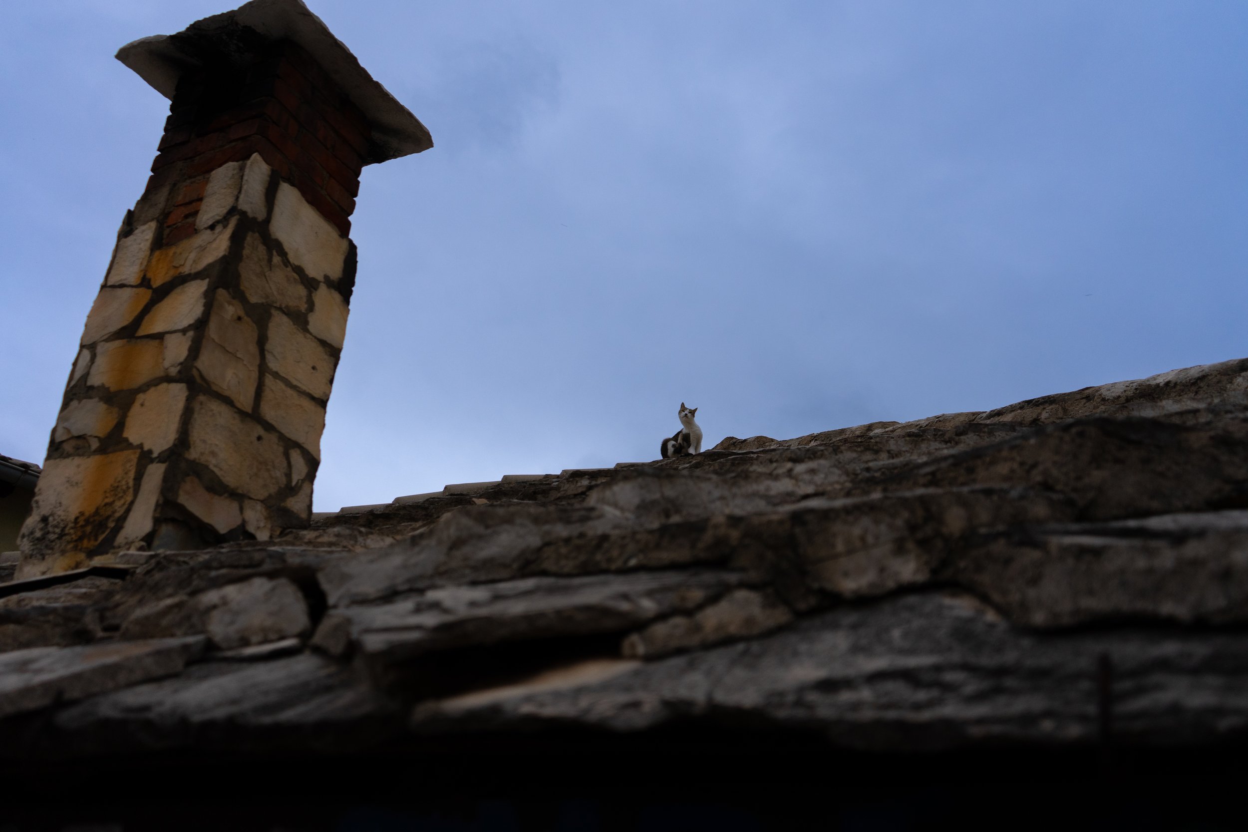 DSC05201.jpeg